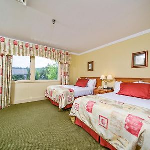 Deluxe Double Room Two Double Beds Max Including Children